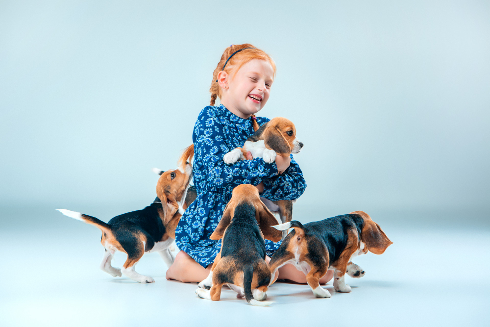 Domowa hodowla psów – wszystko co musisz wiedzieć